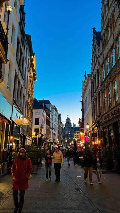 Cozy Antwerp - Cityview Studio Free Parking المظهر الخارجي الصورة